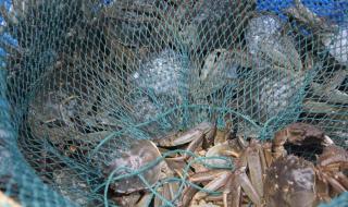 苏宁易购送货时间 苏宁易购送货时间