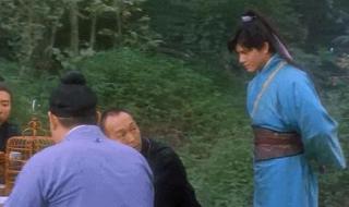 张卫健电影 张卫健电影