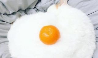 喜欢你真是太好了