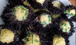 海胆蒸蛋是道什么菜